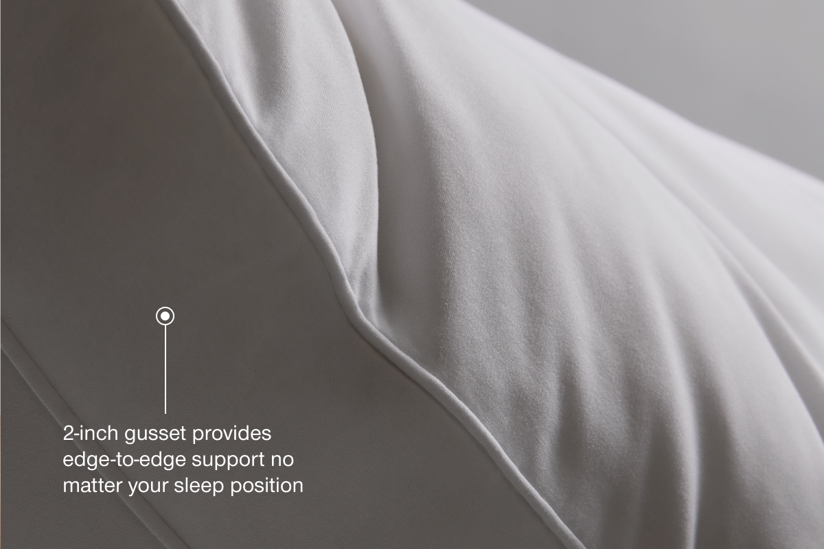 Essence Adjustable Pillow (2 Pack)